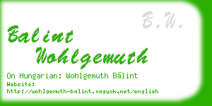 balint wohlgemuth business card
